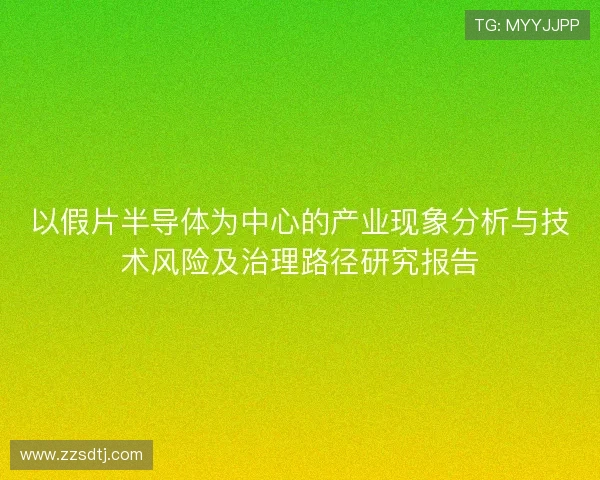 以假片半导体为中心的产业现象分析与技术风险及治理路径研究报告
